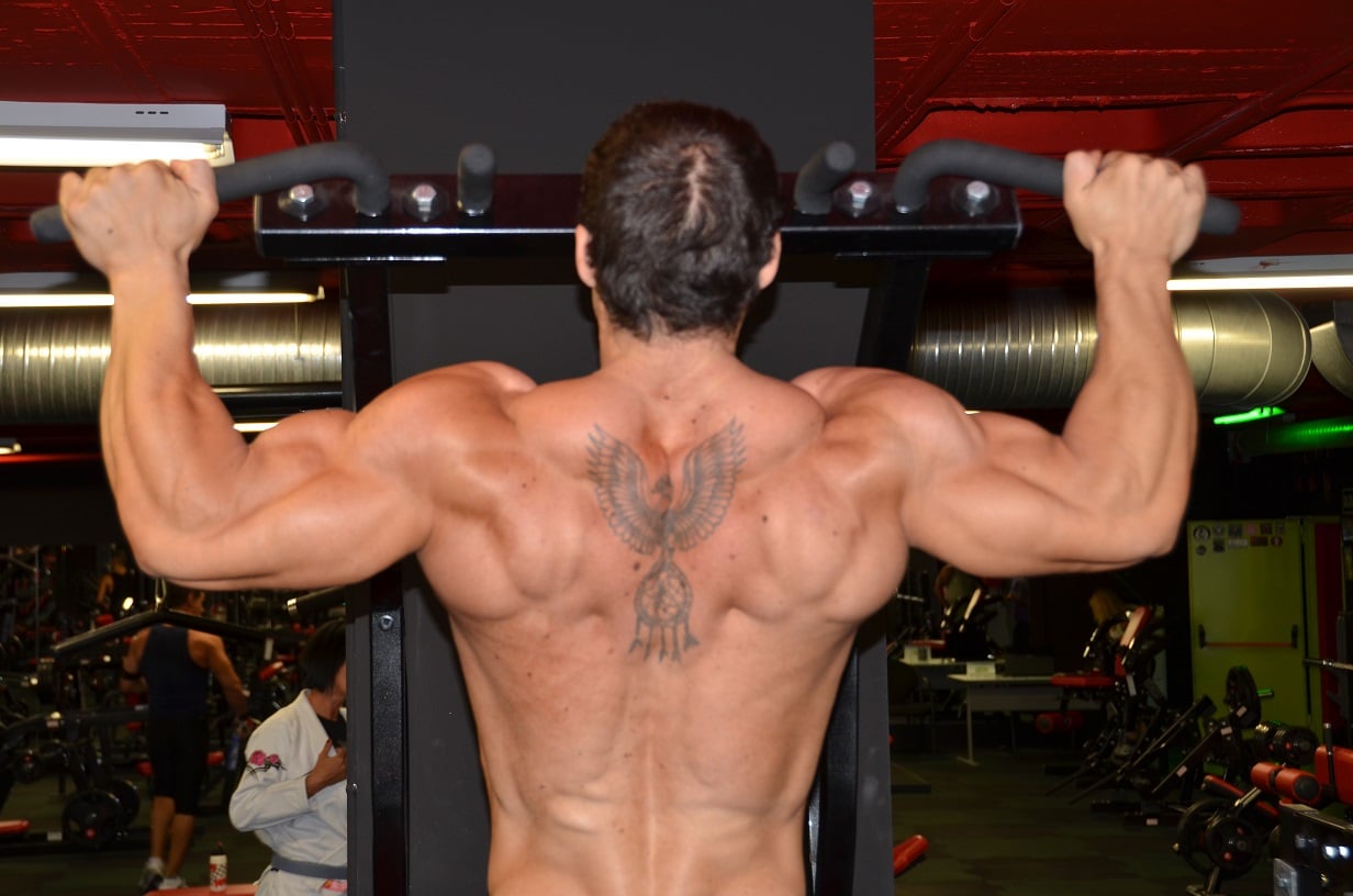 Noticias IFBB 3 ¿Sabes entrenar tu musculatura?