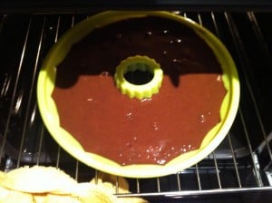 Fit Brownie 02