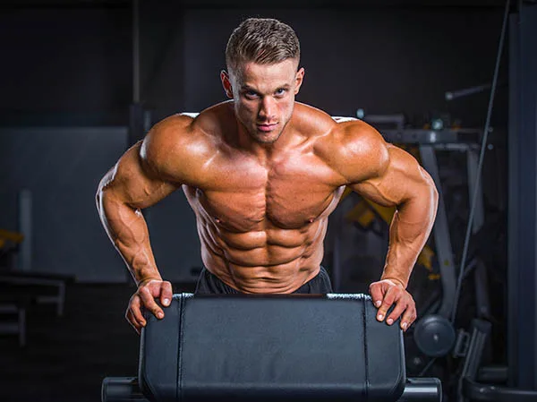 Master en fitness coach & Cross training 1 Máster en Fitness Coach y Cross Training IFBB