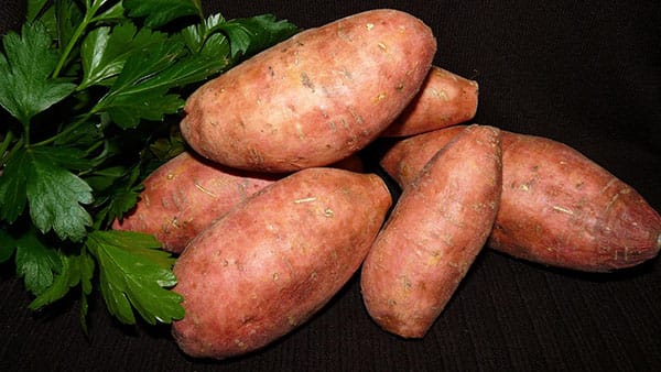 10 Alimentos fundamentales para tener un cuerpo 10 2 Batata