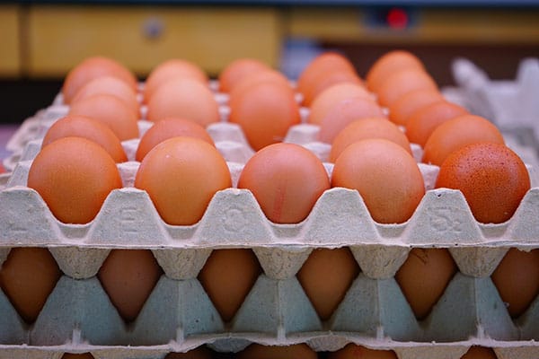 10 Alimentos fundamentales para tener un cuerpo 10 9 Huevos