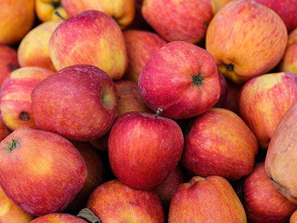 10 Alimentos fundamentales para tener un cuerpo 10 8 Manzana